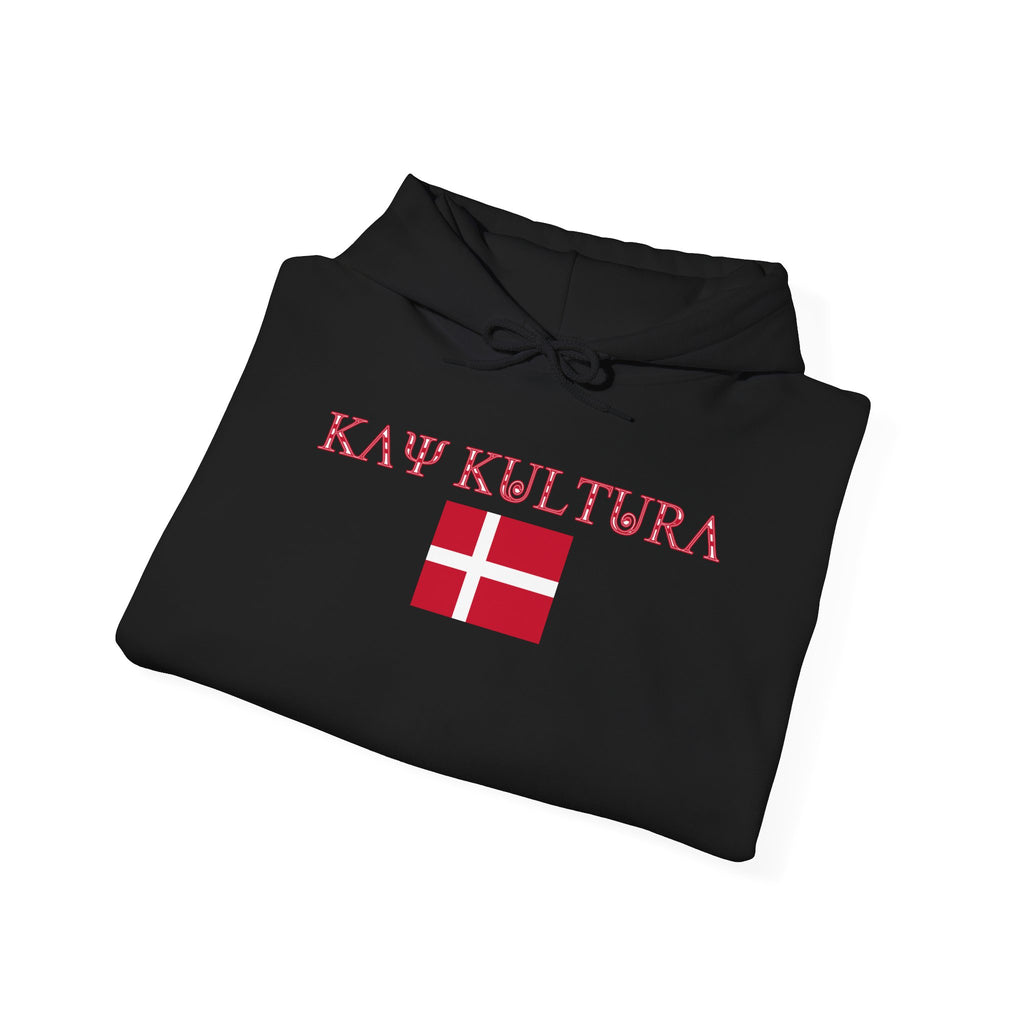 INTERNATIONAL CLASSIC KAYKULTURA DENMARK HOODED SWEATSHIRT