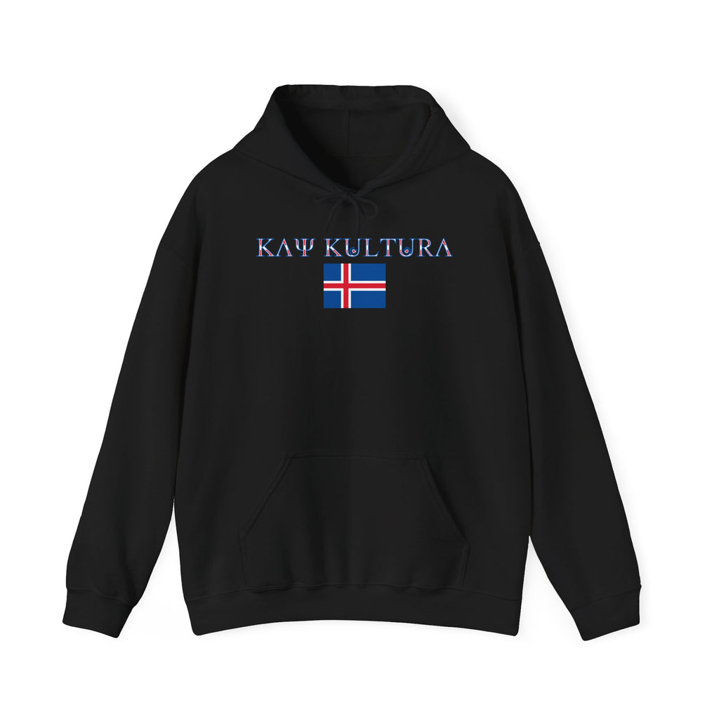 INTERNATIONAL CLASSIC KAYKULTURA ICELAND HOODED SWEATSHIRT