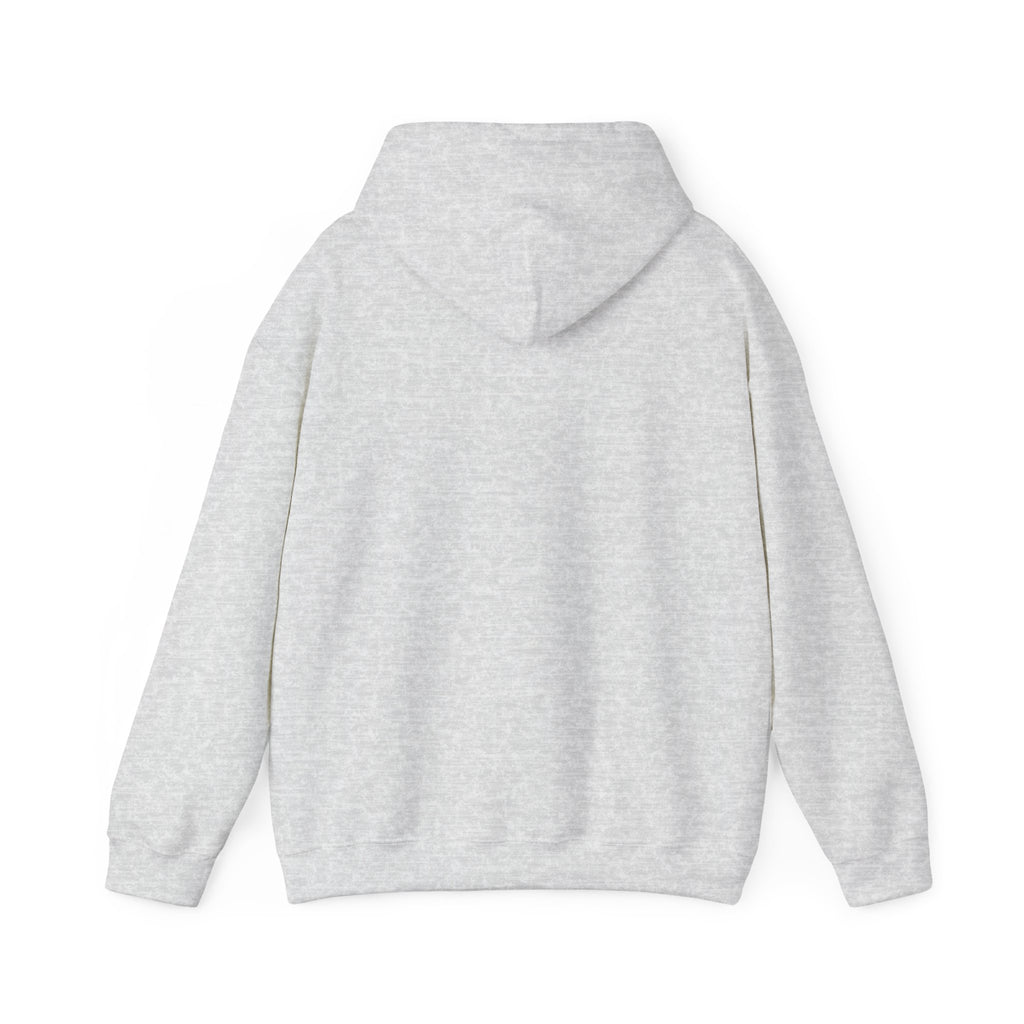 INTERNATIONAL CLASSIC KAYKULTURA GREECE HOODED SWEATSHIRT