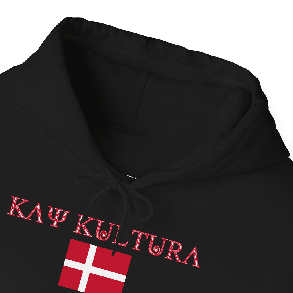 INTERNATIONAL CLASSIC KAYKULTURA DENMARK HOODED SWEATSHIRT