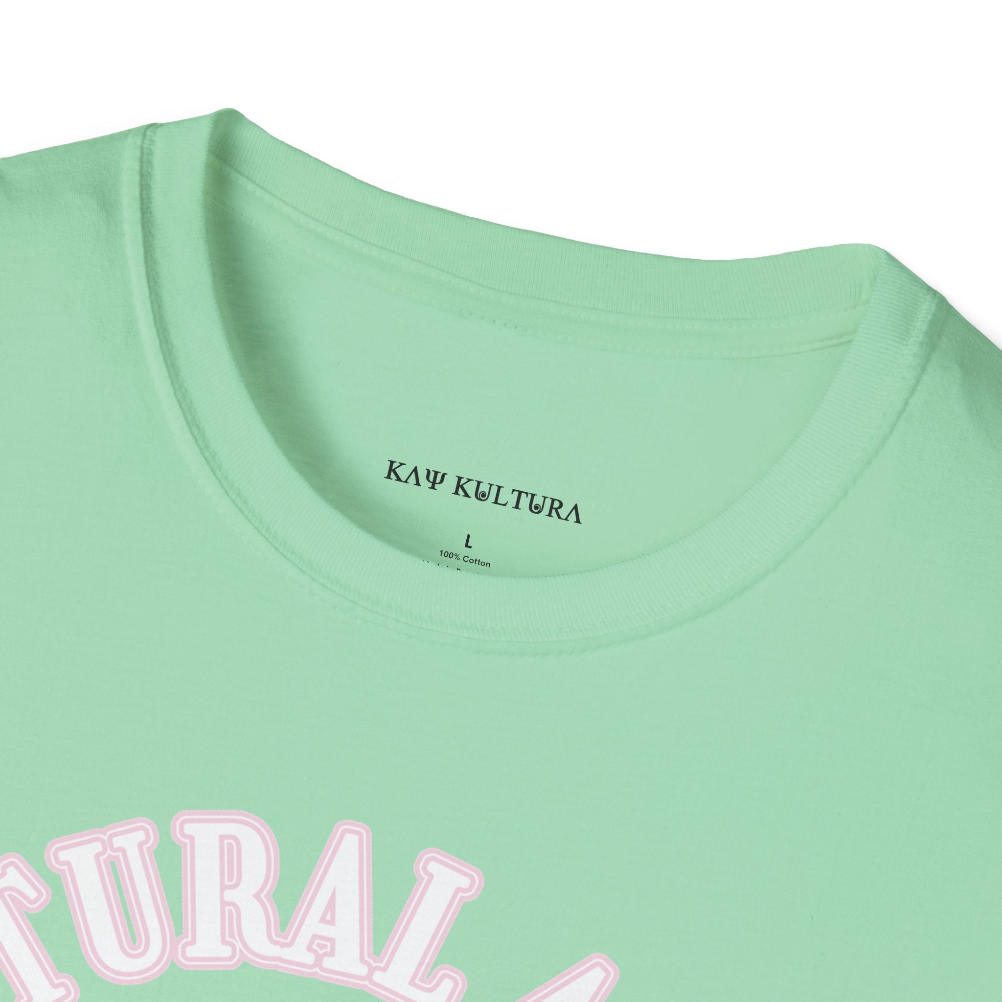 KAYKULTURA CULTURAL APPRECIATION VERSUS CULTURAL APPROPRIATION T-SHIRT