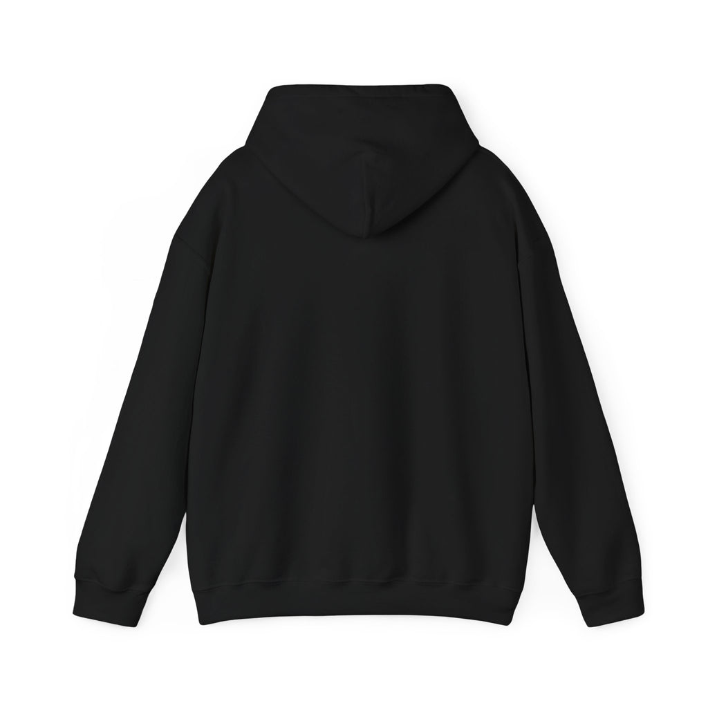 INTERNATIONAL CLASSIC KAYKULTURA DENMARK HOODED SWEATSHIRT