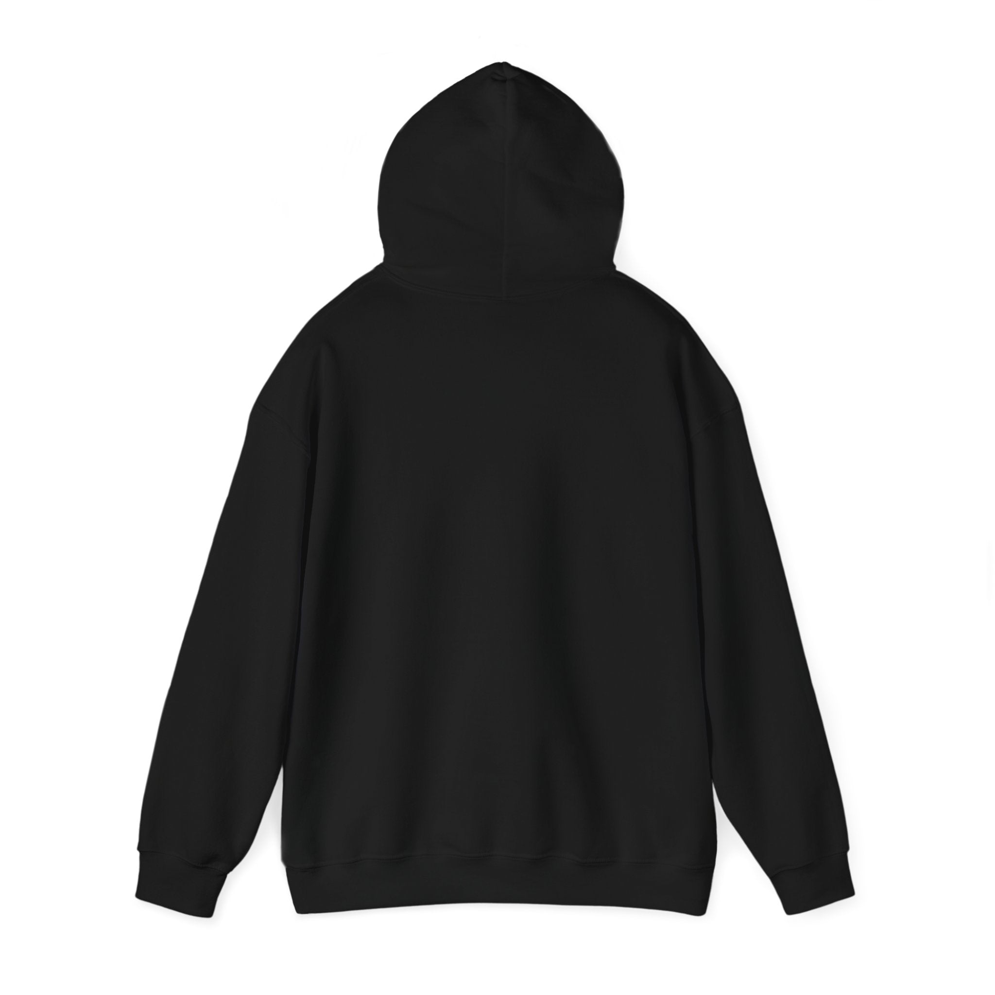 KAYKULTURA DEFINITION HOODED SWEATSHIRT