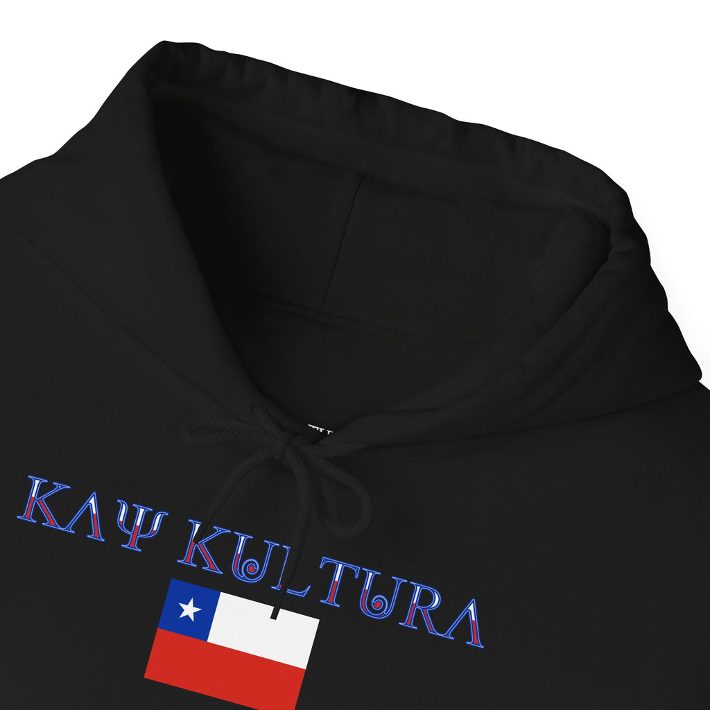 INTERNATIONAL CLASSIC KAYKULTURA CHILE HOODED SWEATSHIRT