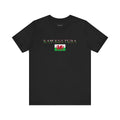 INTERNATIONAL CLASSIC KAYKULTURA WALES T-SHIRT