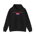 INTERNATIONAL CLASSIC KAYKULTURA CROATIA HOODED SWEATSHIRT