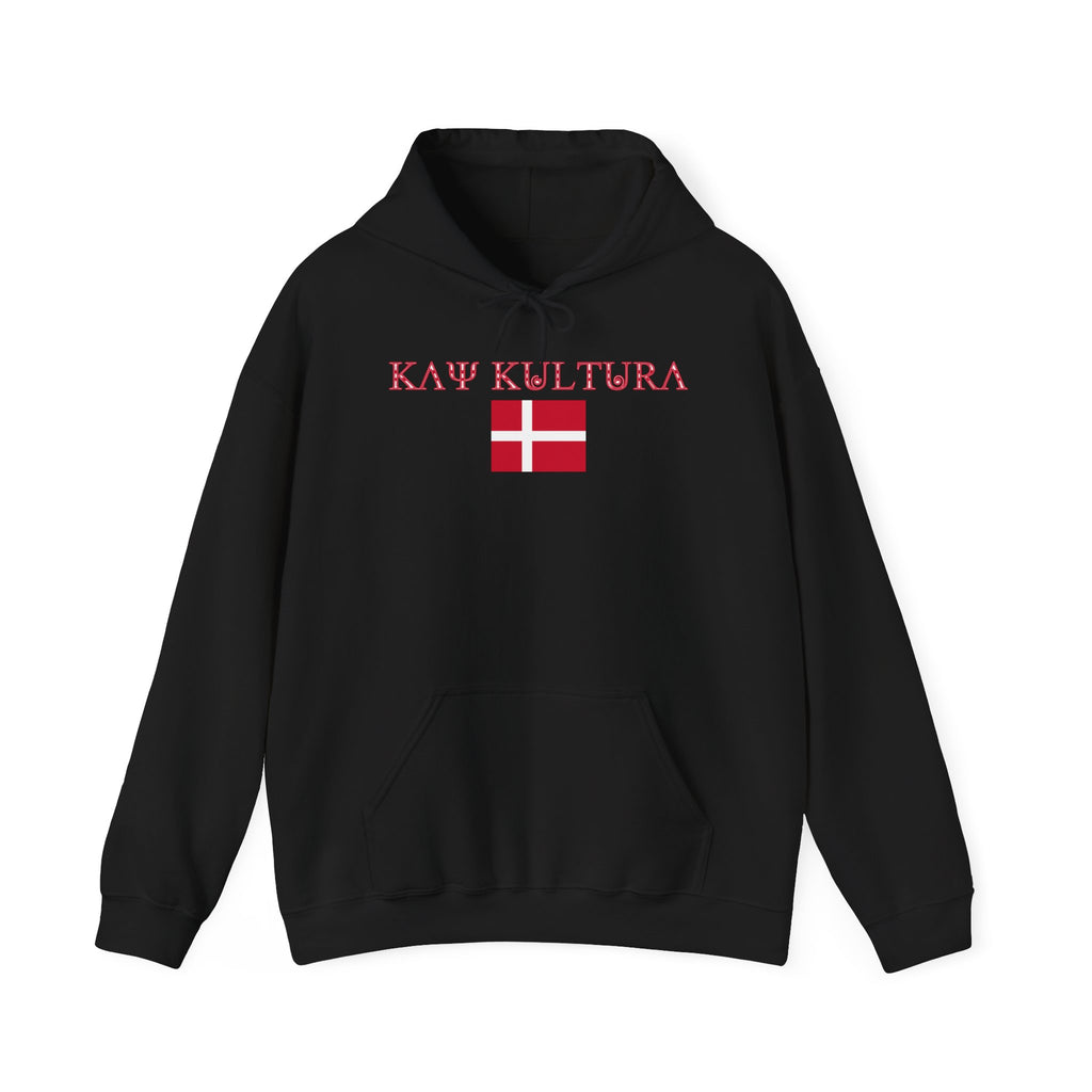 INTERNATIONAL CLASSIC KAYKULTURA DENMARK HOODED SWEATSHIRT