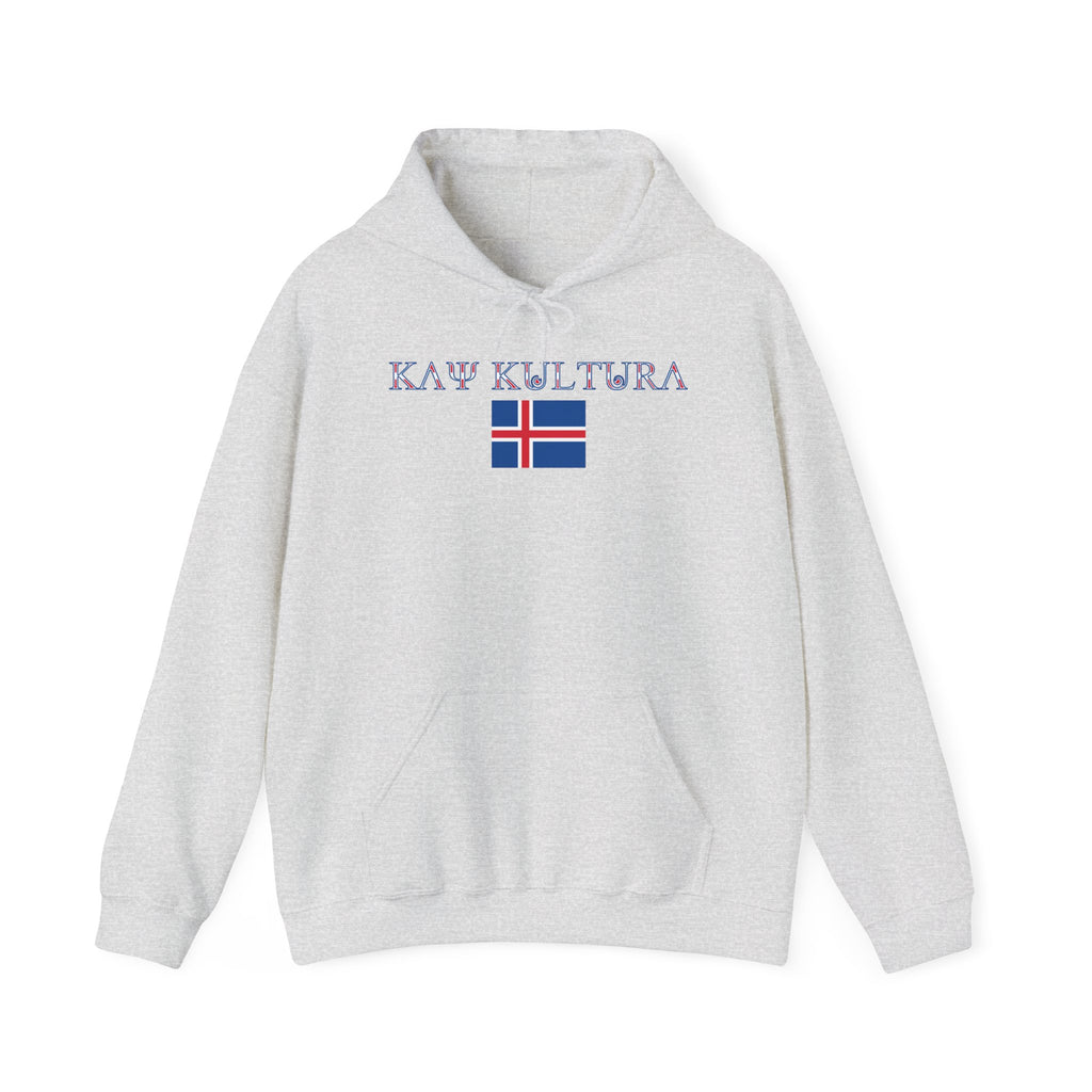 INTERNATIONAL CLASSIC KAYKULTURA ICELAND HOODED SWEATSHIRT