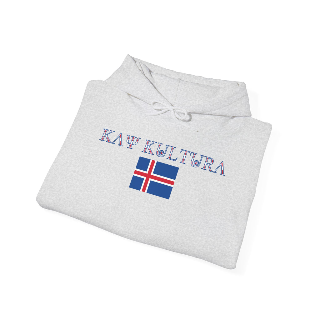 INTERNATIONAL CLASSIC KAYKULTURA ICELAND HOODED SWEATSHIRT