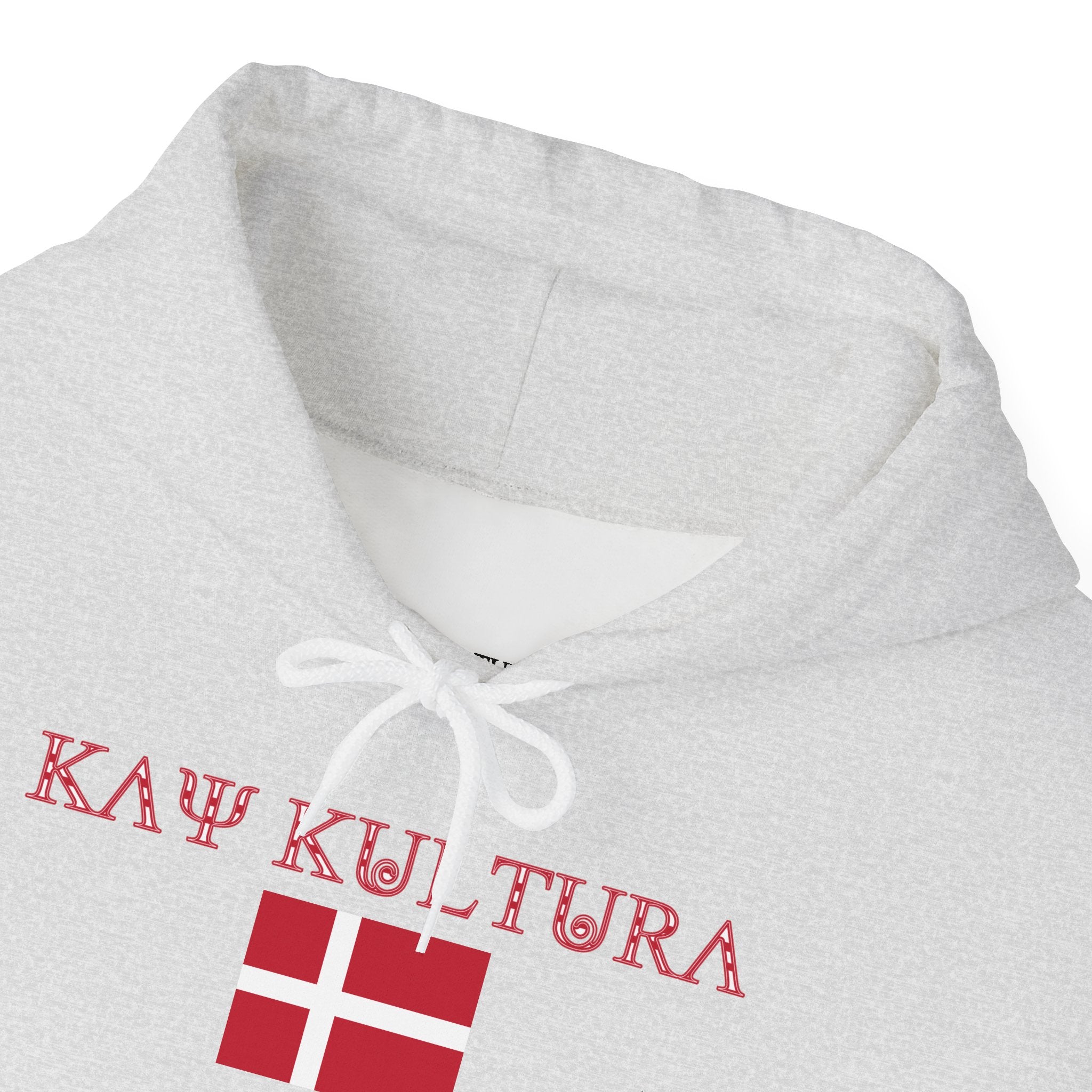 MOLETOM COM CAPUZ INTERNATIONAL CLASSIC KAYKULTURA DENMARK