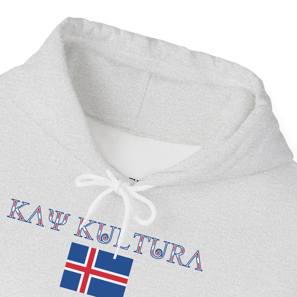 INTERNATIONAL CLASSIC KAYKULTURA ICELAND HOODED SWEATSHIRT
