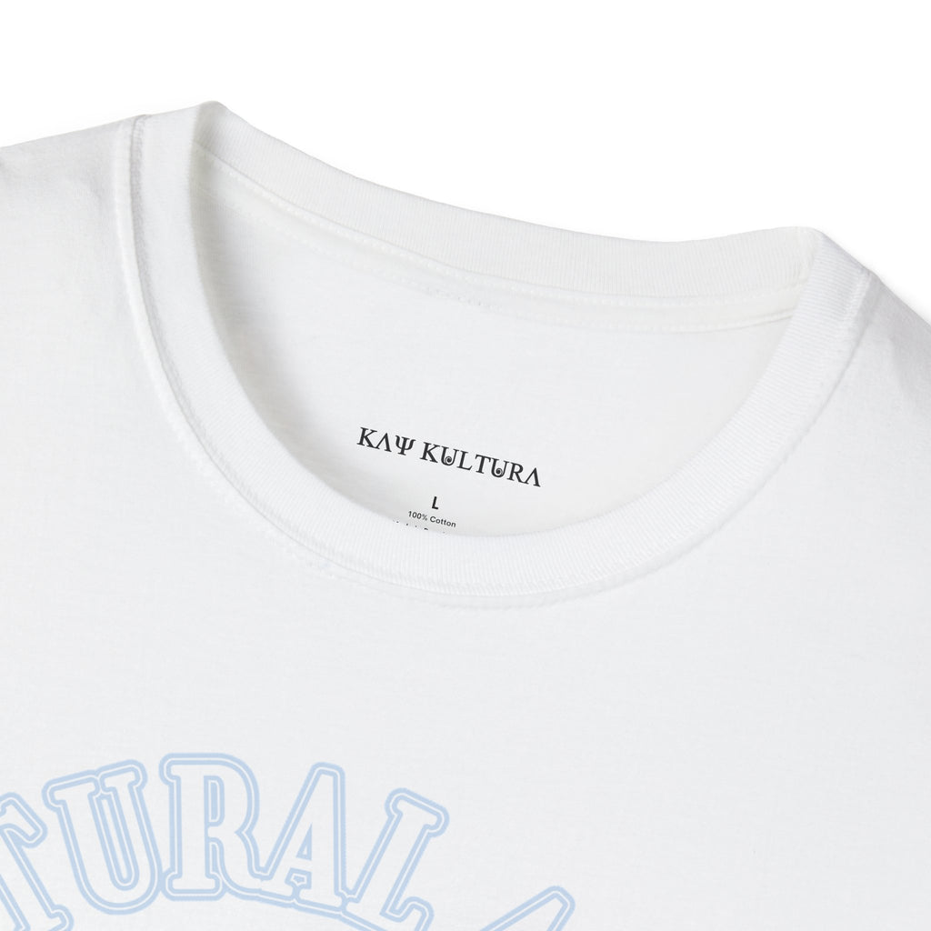 CAMISETA KAYKULTURA: APRECIAÇÃO CULTURAL VERSUS APROPRIAÇÃO CULTURAL